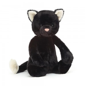 Animaux De Compagnie Jellycat Peluche Bashful Black Kitten,31cm x 12cm x 9cm Noir | 68359-FLEP