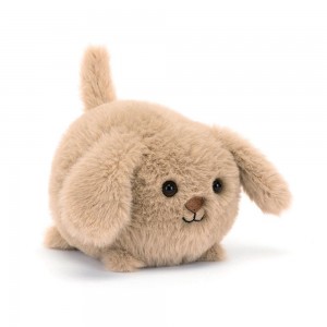 Animaux De Compagnie Jellycat Peluche Caboodle Puppy,10cm x 9cm x 11cm Beige | 82064-UFRK