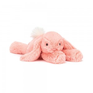 Animaux De Compagnie Jellycat Peluche Smudge Apricot Rabbit,13cm x 11cm x 24cm Orange | 04157-FNZP