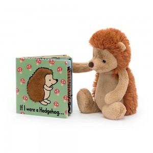 Cadeaux Pour Bébé Jellycat If I Were A Hedgehog Board and Bashful Hedgehog Medium Marron | 74126-SWIF