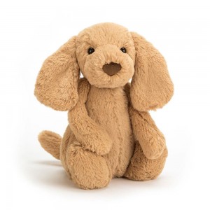 Chien Jellycat Peluche Bashful Toffee Puppy,12.2in x 4.7in x 3.5in Marron | 75691-IFKG