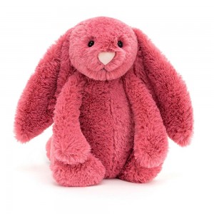 Lapin Jellycat Peluche Bashful Cerise Bunny,31cm x 12cm x 9cm Rose | 50291-WTFA