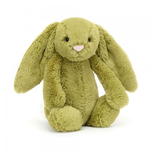 Lapin Jellycat Peluche Bashful Moss Bunny,31cm x 12cm x 9cm Vert | 29048-VFKE