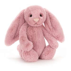 Lapin Jellycat Peluche Bashful Tulip Bunny,31cm x 12cm x 9cm Rose | 26791-IVUO