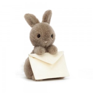 Lapin Jellycat Peluche Messenger Bunny,19cm x 12cm x 12cm Marron | 68453-TUSG