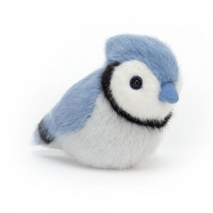Oiseaux Jellycat Peluche Birdling Jay,10cm x 7cm x 9cm Bleu | 24796-KWBF