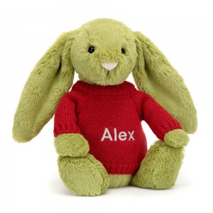 Pulls Jellycat Bashful Moss Bunny,31cm x 12cm x 9cm Vert | 31690-VERX