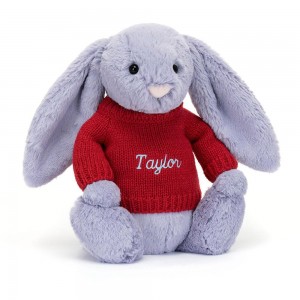 Pulls Jellycat Bashful Viola Bunny,31cm x 12cm x 9cm Violette | 49835-HAQG