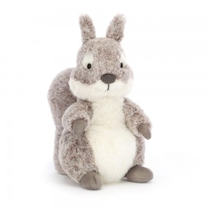 Woodland Jellycat Peluche Ambrosie Squirrel,22cm x 11cm x 9cm Grise | 35487-TUCX