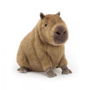 Woodland Jellycat Peluche Clyde Capybara,21cm x 17cm x 24cm Marron | 01947-BVLA