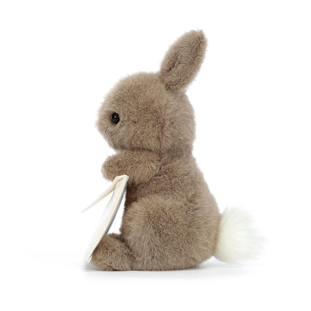 Lapin Jellycat Peluche Messenger Bunny,19cm x 12cm x 12cm Marron | 68453-TUSG